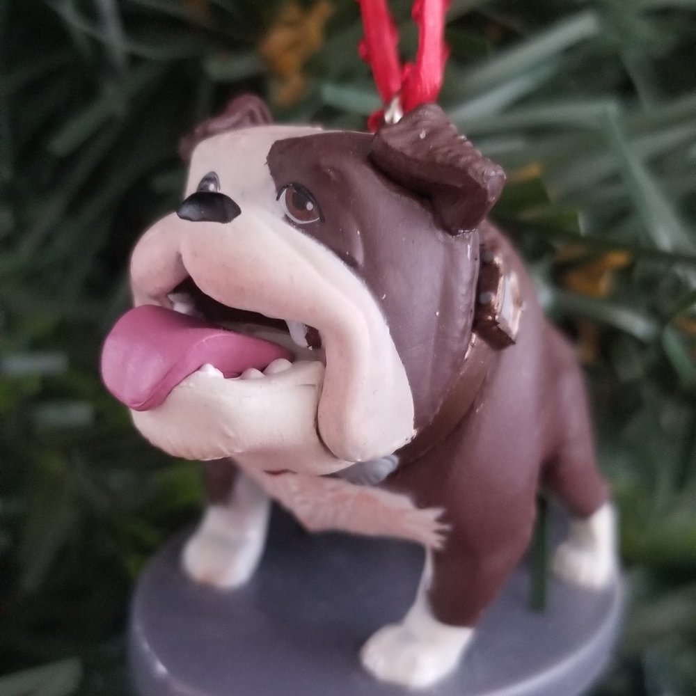 Disney Up Gamma Ornament